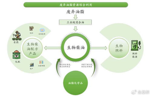 豐倍生物 技術(shù)創(chuàng)新驅(qū)動(dòng)綠色全產(chǎn)業(yè)鏈，生物柴油市占率領(lǐng)先