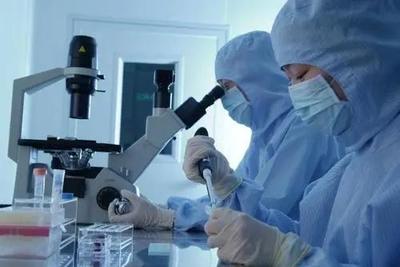 李逵還是李鬼？相似專業(yè)名稱辨析 生物技術(shù)與生物技術(shù)開發(fā)，2021年考生必讀